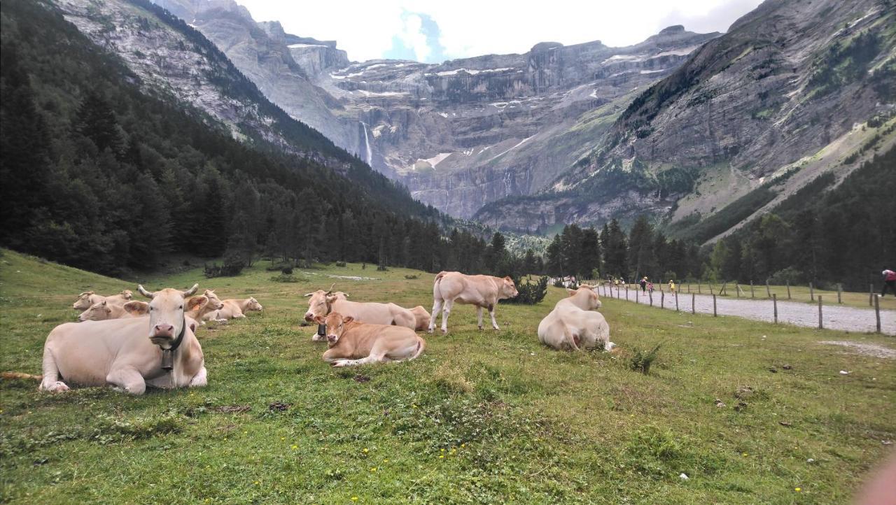 Studio En Pleine Montagne Avec Vue Sur Marmottes La Mongie Eksteriør billede